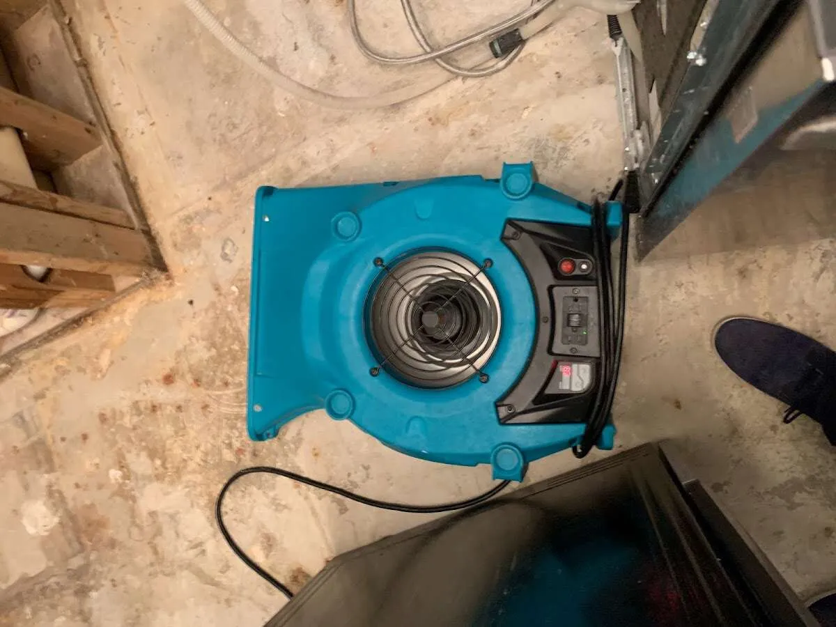 Air mover drying equipment for Mold Remediation & Removal in Wilmington